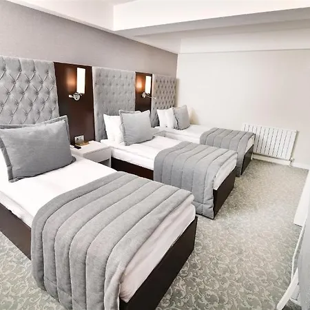 Hotel Guevenay Business